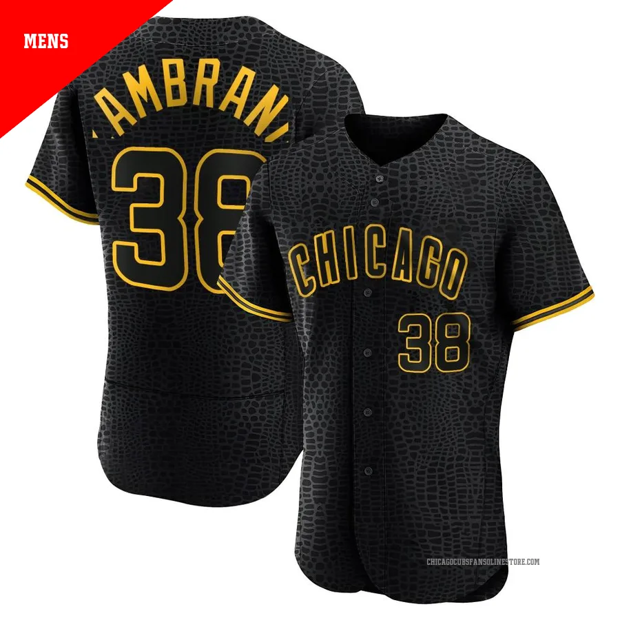 Chicago Cubs ＃38 Carlos Zambrano Men's Authentic Snake Skin City Jersey - Black