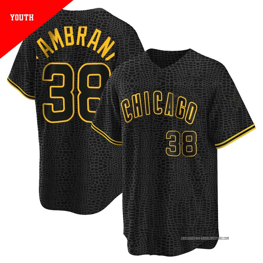 Chicago Cubs ＃38 Carlos Zambrano Youth Replica Snake Skin City Jersey - Black